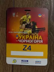 Билет пропуск 4 Украина - Черногория 2020 женские