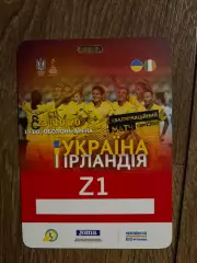 Билет пропуск 3 Украина - Ирландия 2020 женские