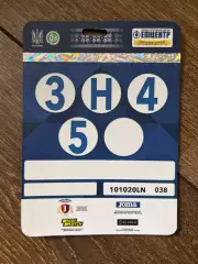 Билет / пропуск Украина - Германия 2020 #6