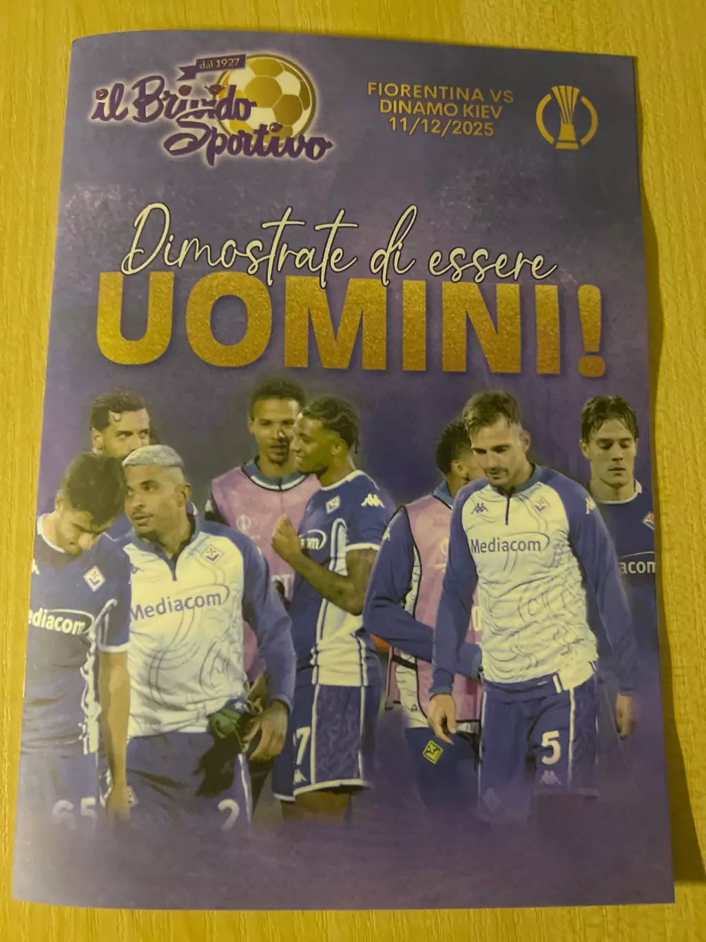 Фиорентина Италия - Динамо Киев 2025-2026