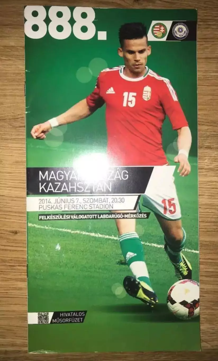 Венгрия - Казахстан 2014