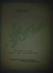 Динамо-Газовик Тюмень - Динамо Барнаул 1993