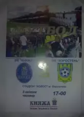 Княжа Счастливое - ФК Коростень 2007-2008