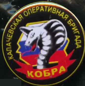 ВВ МВД,Калачевская оперативная бригада Кобра
