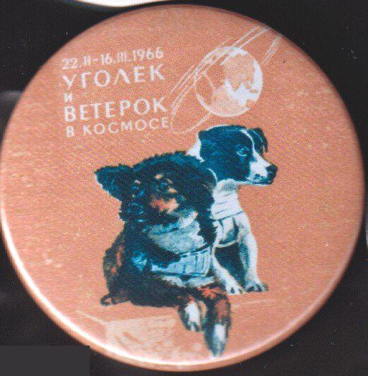 собаки Ветерок и Уголек в космосе
