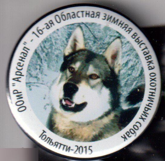 16 областная зимняя выставка охотничьих собак, Тольятти-2015
