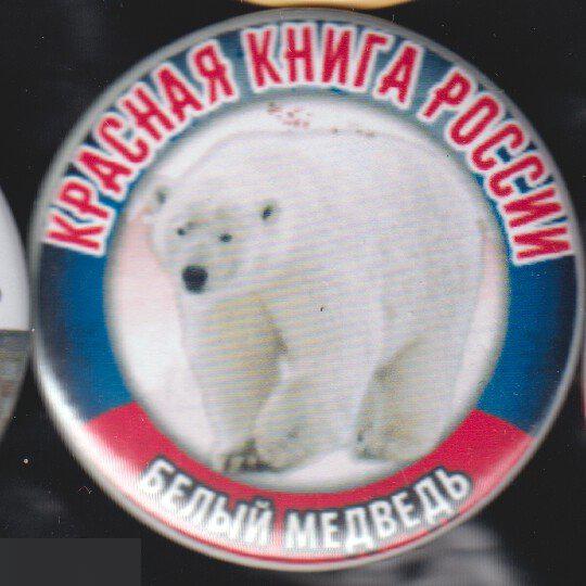 Красная Книга России, белый медведь