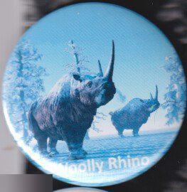 Древние животные: шерстистый носорог 2