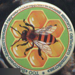 Восточно-Казахстанский институт сельского хозяйства, пчела