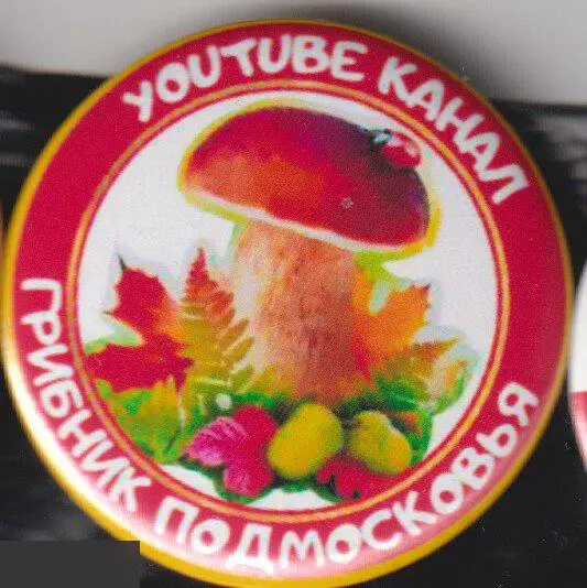 Грибник Подмосковья