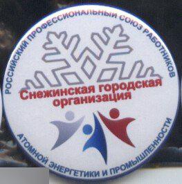 профсоюз работников атомной энергетики, Снежинская организация