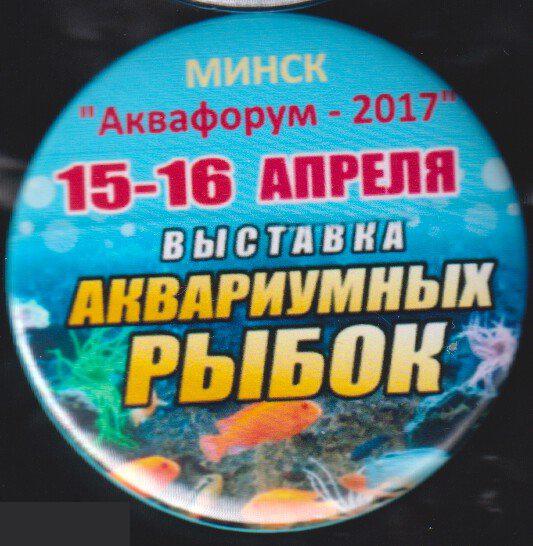 Минск, выставка аквариумных рыбок