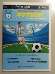 Сокол Саратов - Чайка Песчанокопское 2025/2026 альтернативная