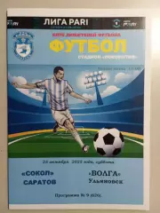 Сокол Саратов - Волна Ульяновск 2025/2026 альтернативная