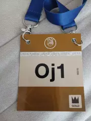 Бейдж Дания Украина 07.06.2026
