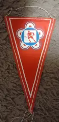 Вымпел Хоккей