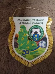 Вымпел Ассоциации футбола Сумской области