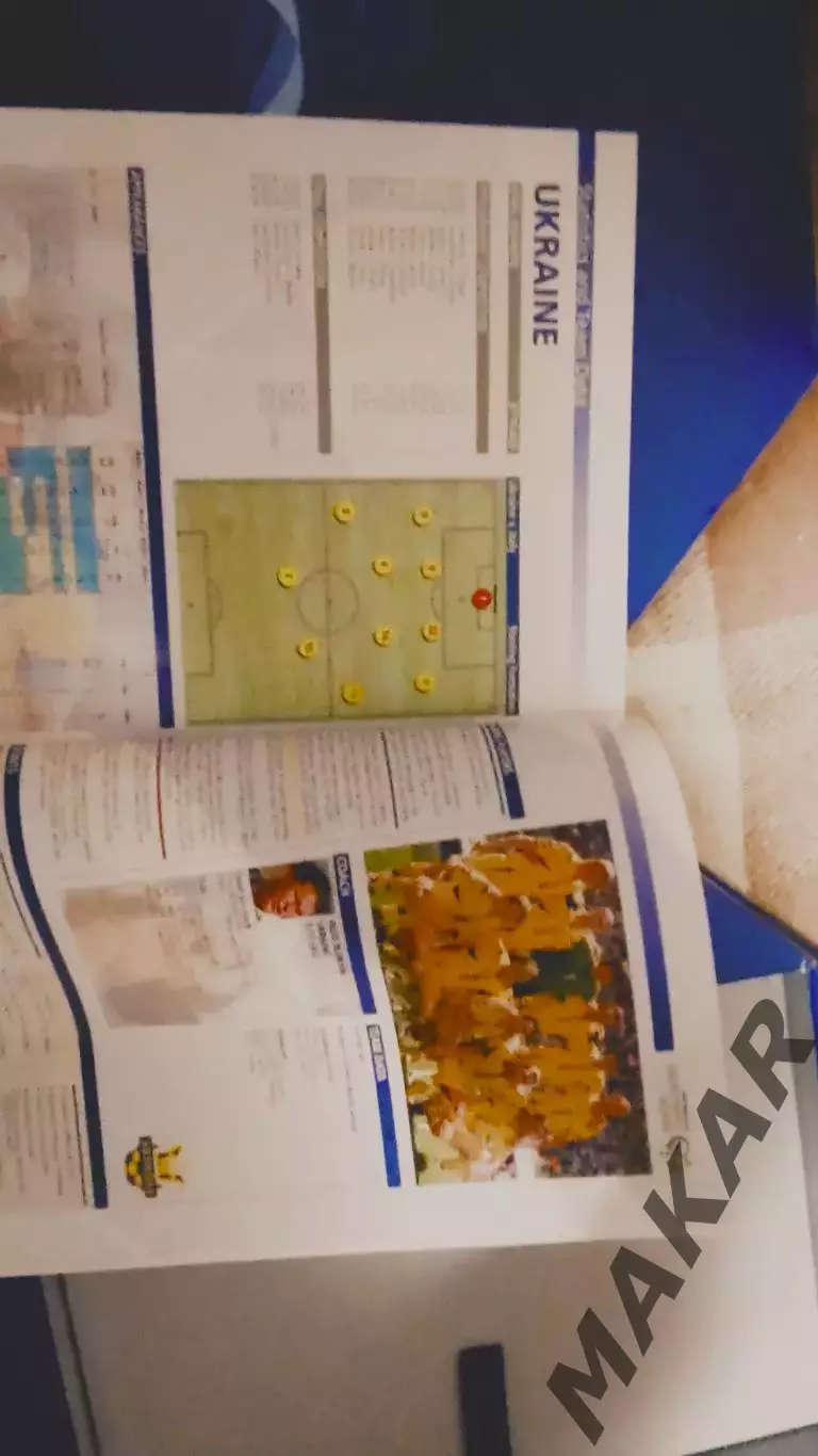 Технический отчёт Чемпионат мира 2006 Подарочный 1