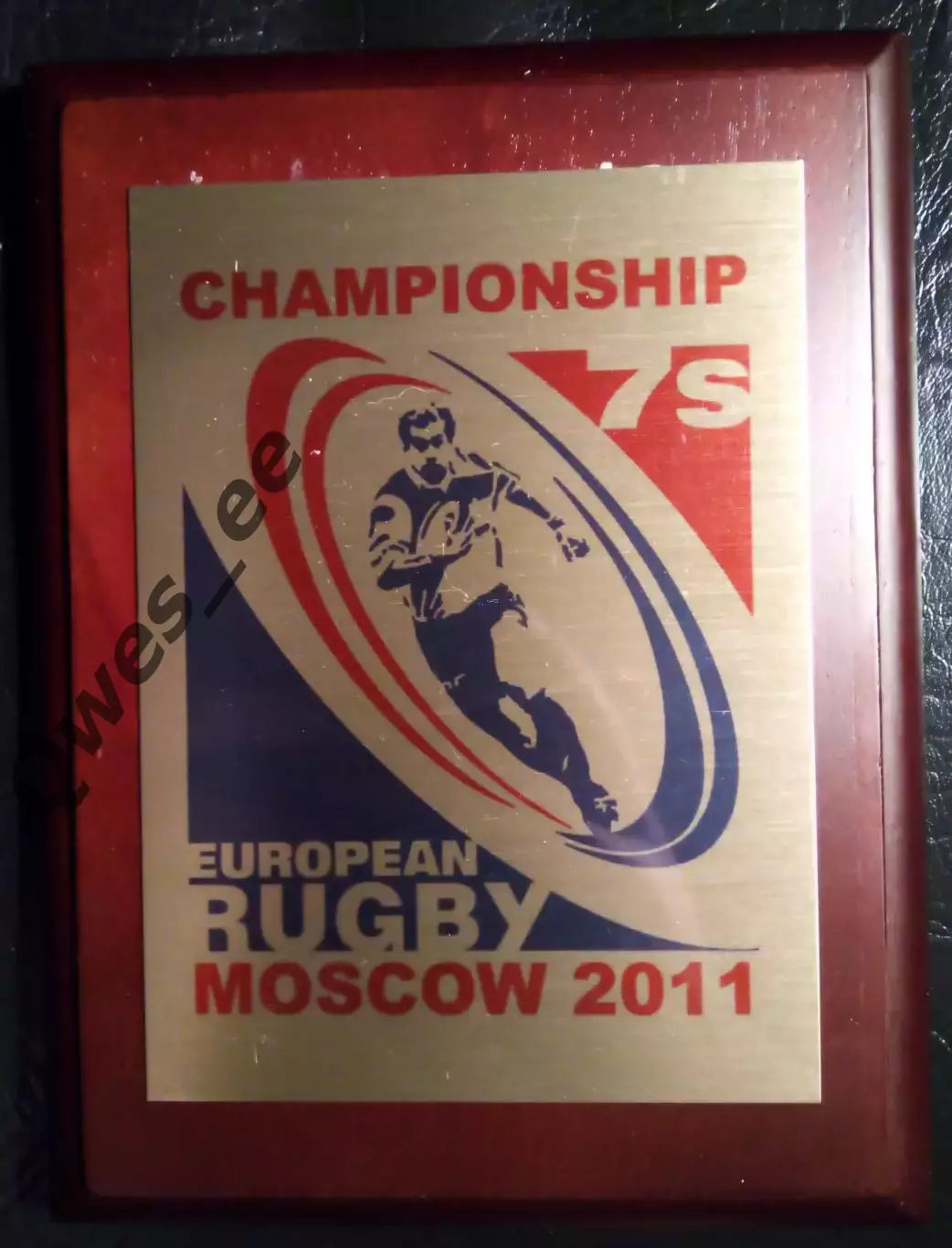 Регби Плакетка Плашка Чемпионшип 7 2011