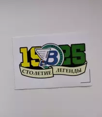 Стикер наклейка хоккей с мячом Водник Архангельск