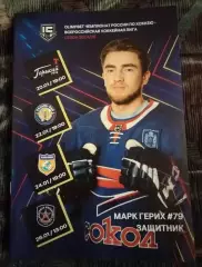 Хоккей Сокол Красноярск Торпедо-Горький Рязань-ВДВ Химик АКМ Тула январь 2025