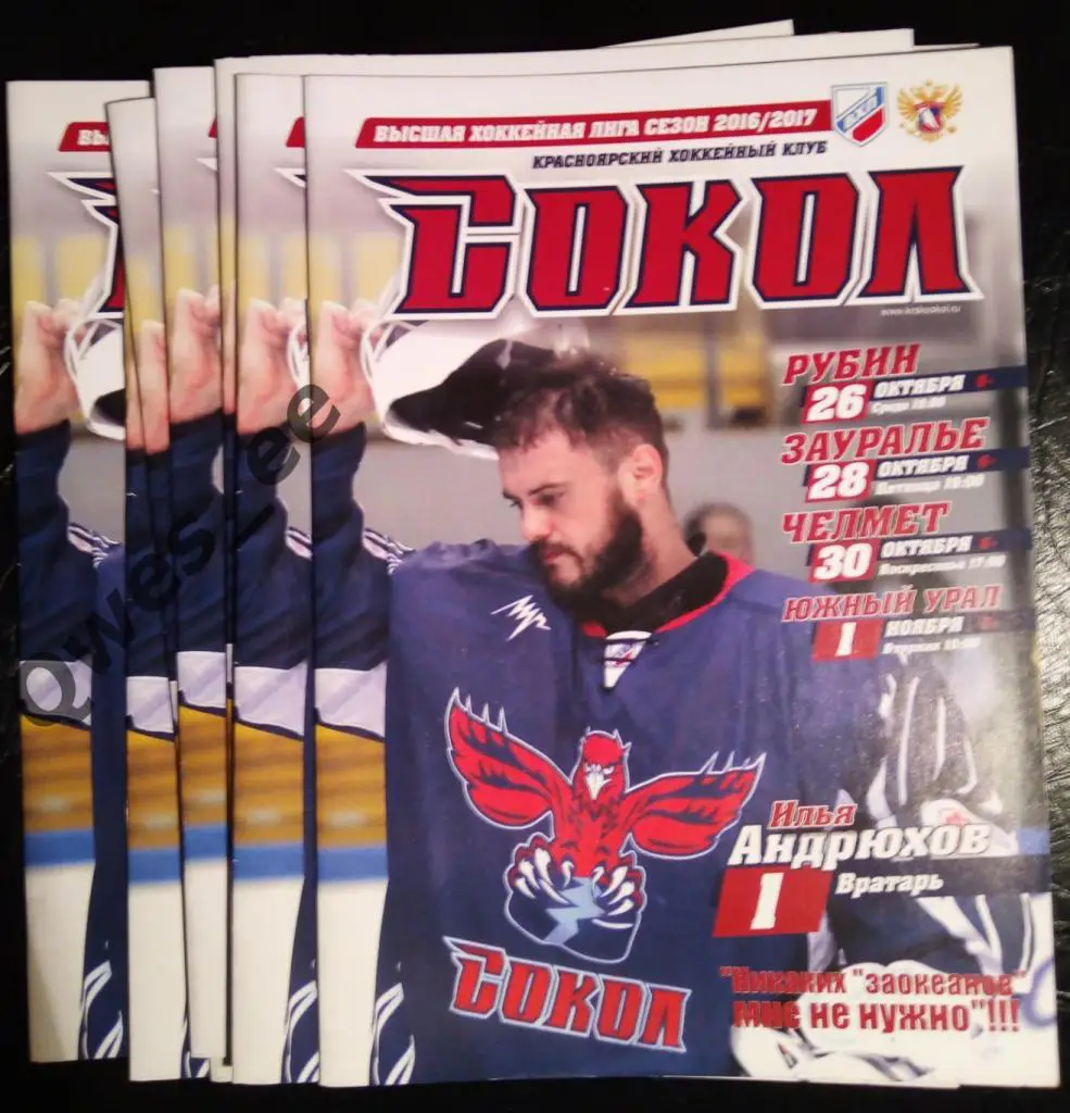 Хоккей Сокол Красноярск Рубин Зауралье Челмет Челябинск Южный Урал 2017