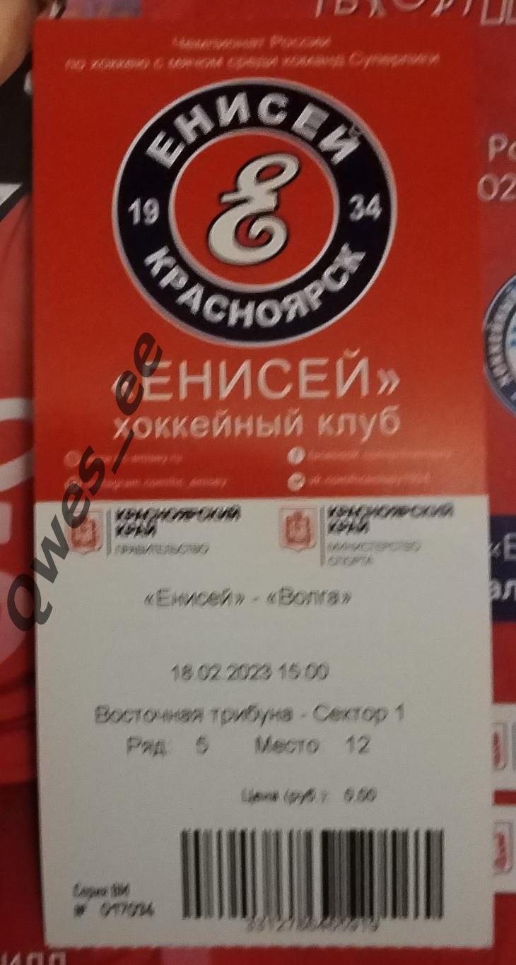 Билет хоккей с мячом Енисей Красноярск Волга Ульяновск 18 февраля 2023