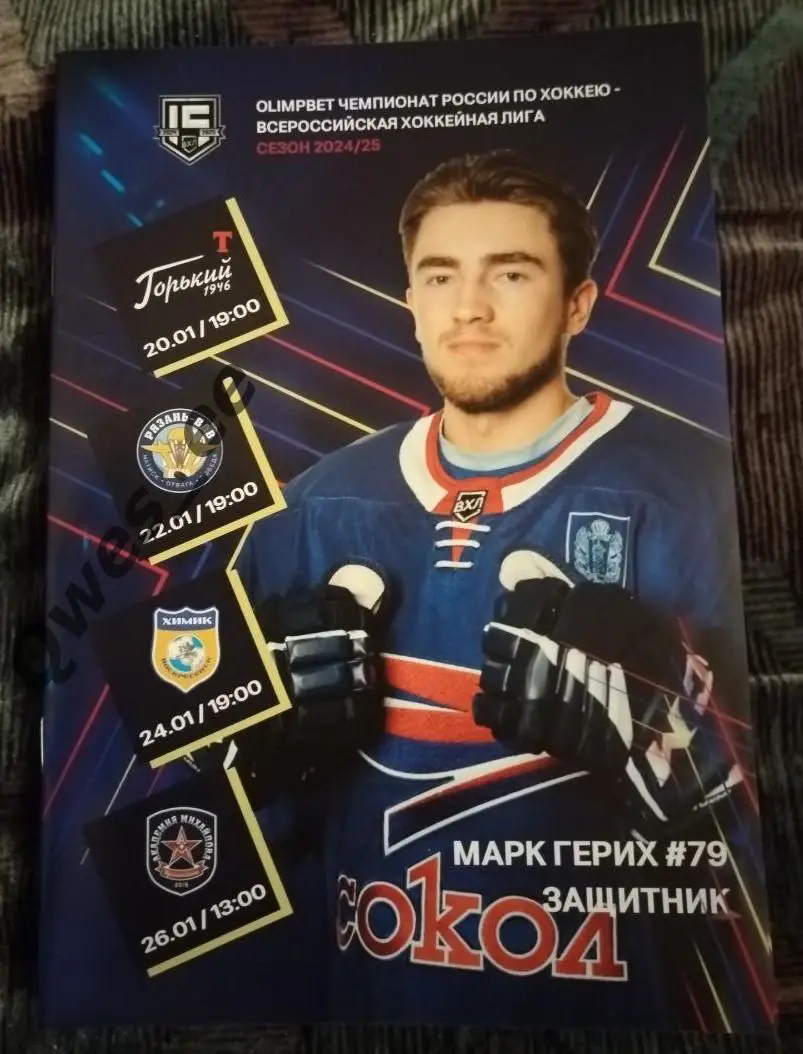 Хоккей Сокол Красноярск Торпедо-Горький Рязань-ВДВ Химик АКМ Тула январь 2025