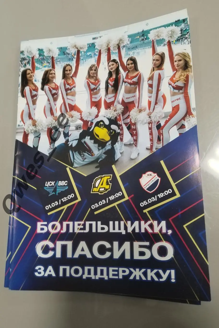 Хоккей Сокол Красноярск ЦСК ВВС Самара Дизель Пенза Кристалл Саратов март 2025