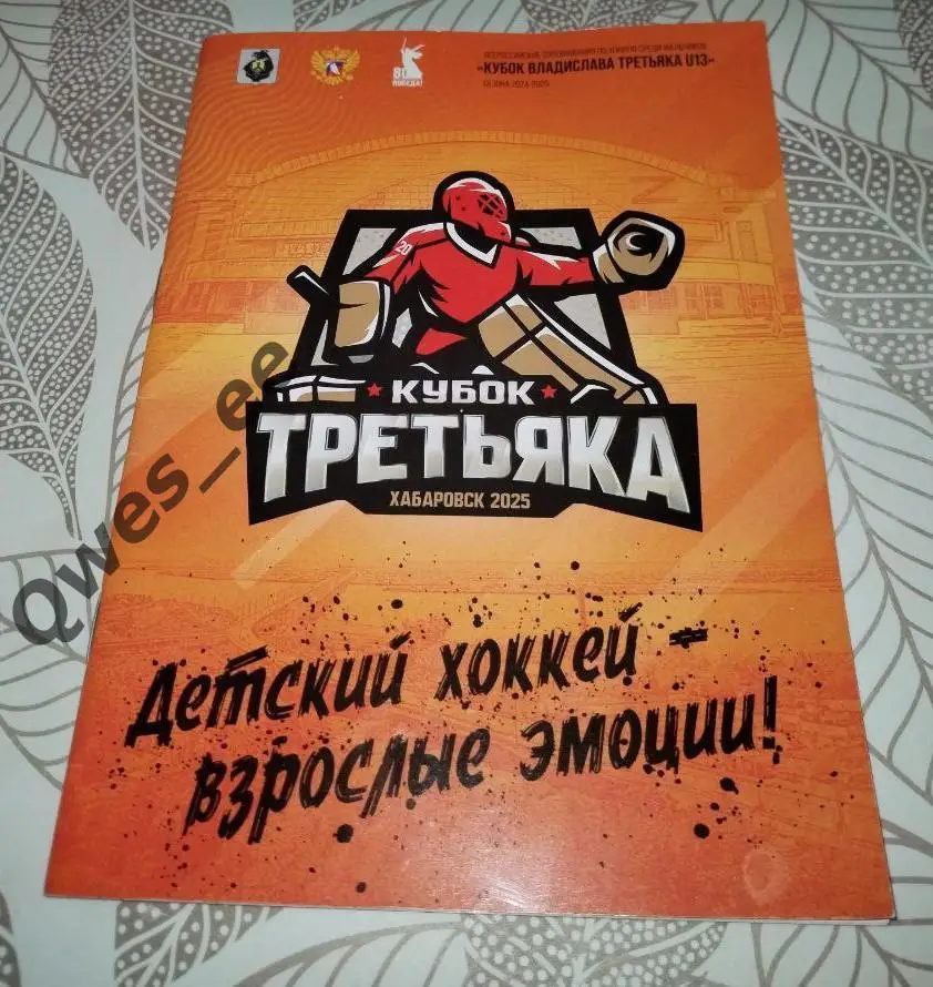 Хоккей Кубок Владислава Третьяка до 13 лет сезон 2024-2025 Хабаровск 2025