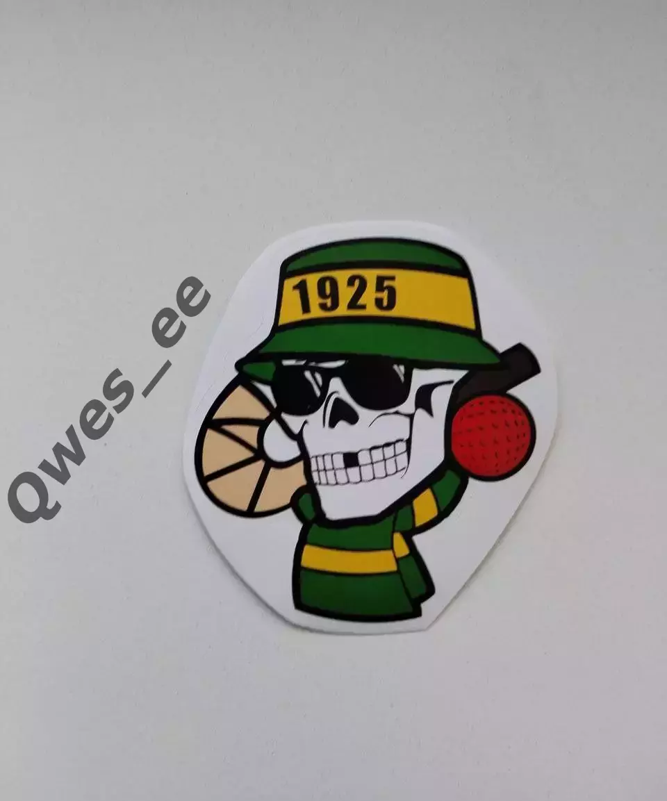 Стикер наклейка хоккей с мячом Водник Архангельск Ультрас фанатский