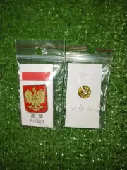 Значок Сборная Польша