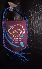 Вымпел Регби Южное Тушино