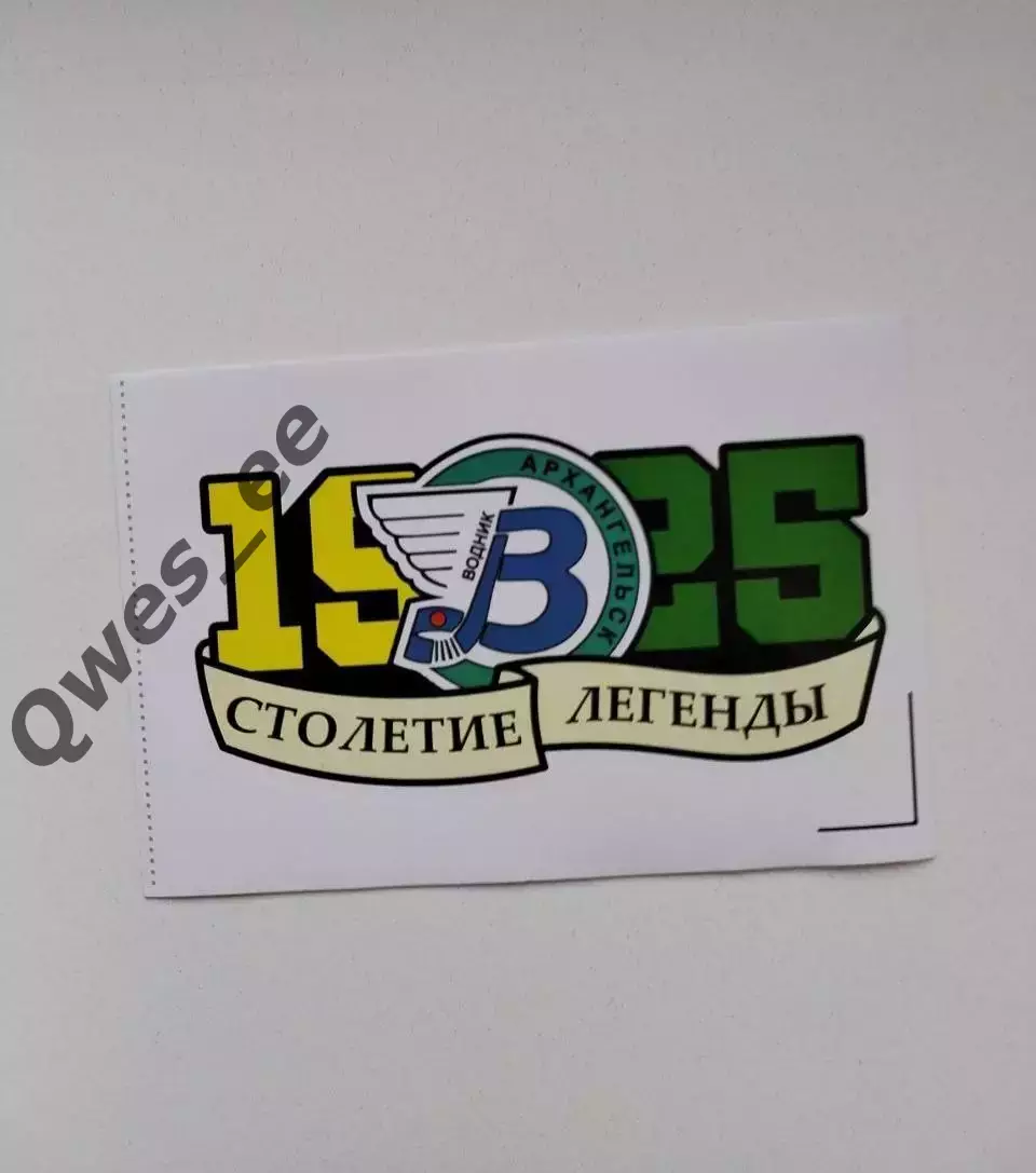Стикер наклейка хоккей с мячом Водник Архангельск