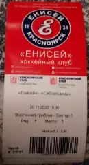 Билет хоккей с мячом Енисей Красноярск Сибсельмаш Новосибирск 20 ноября 2022