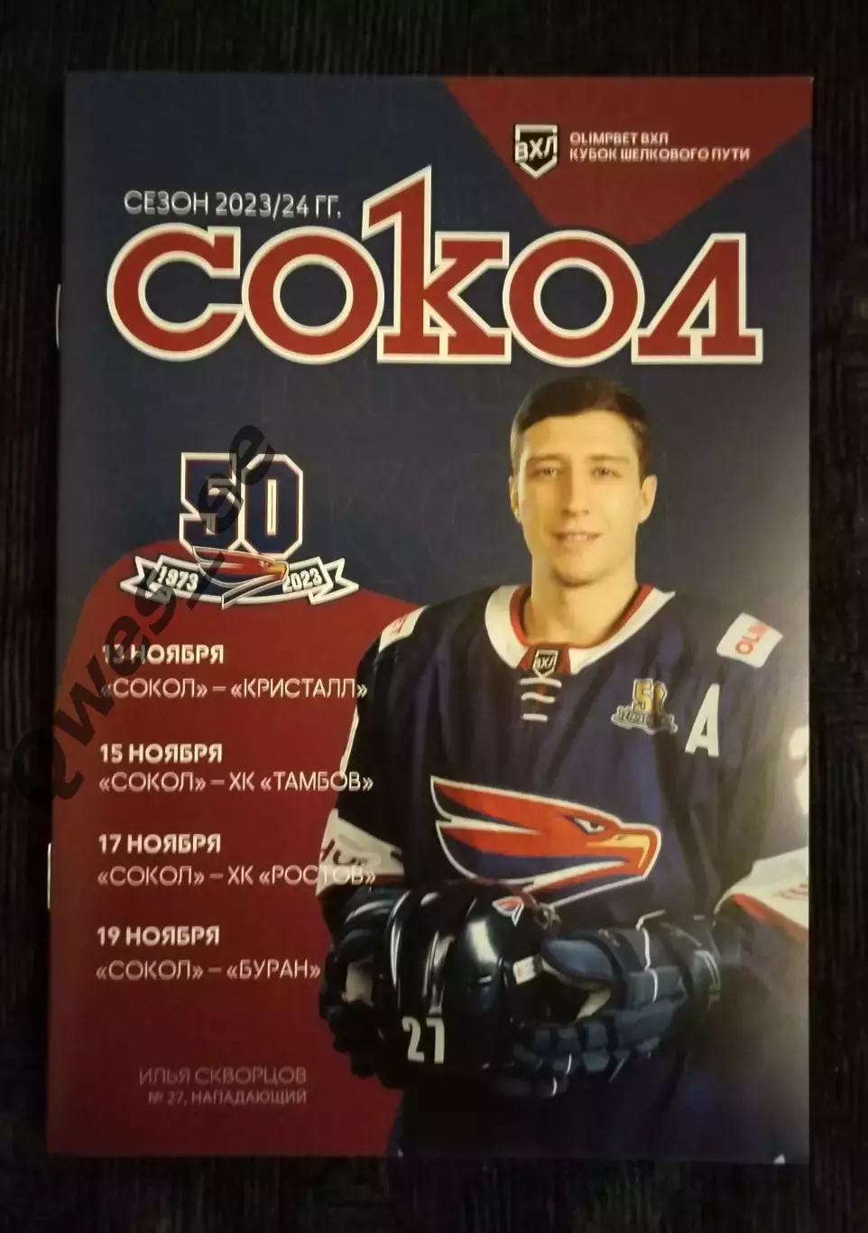 Хоккей Сокол Красноярск Кристалл ХК Тамбов ХК Ростов Буран Воронеж ноябрь 2023