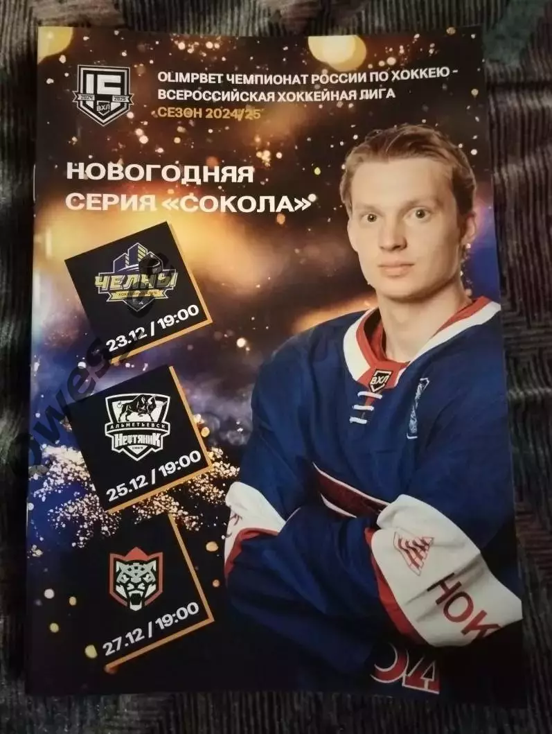 Хоккей Сокол Красноярск Челны Нефтяник Альметьевск Барс Казань декабрь 2024