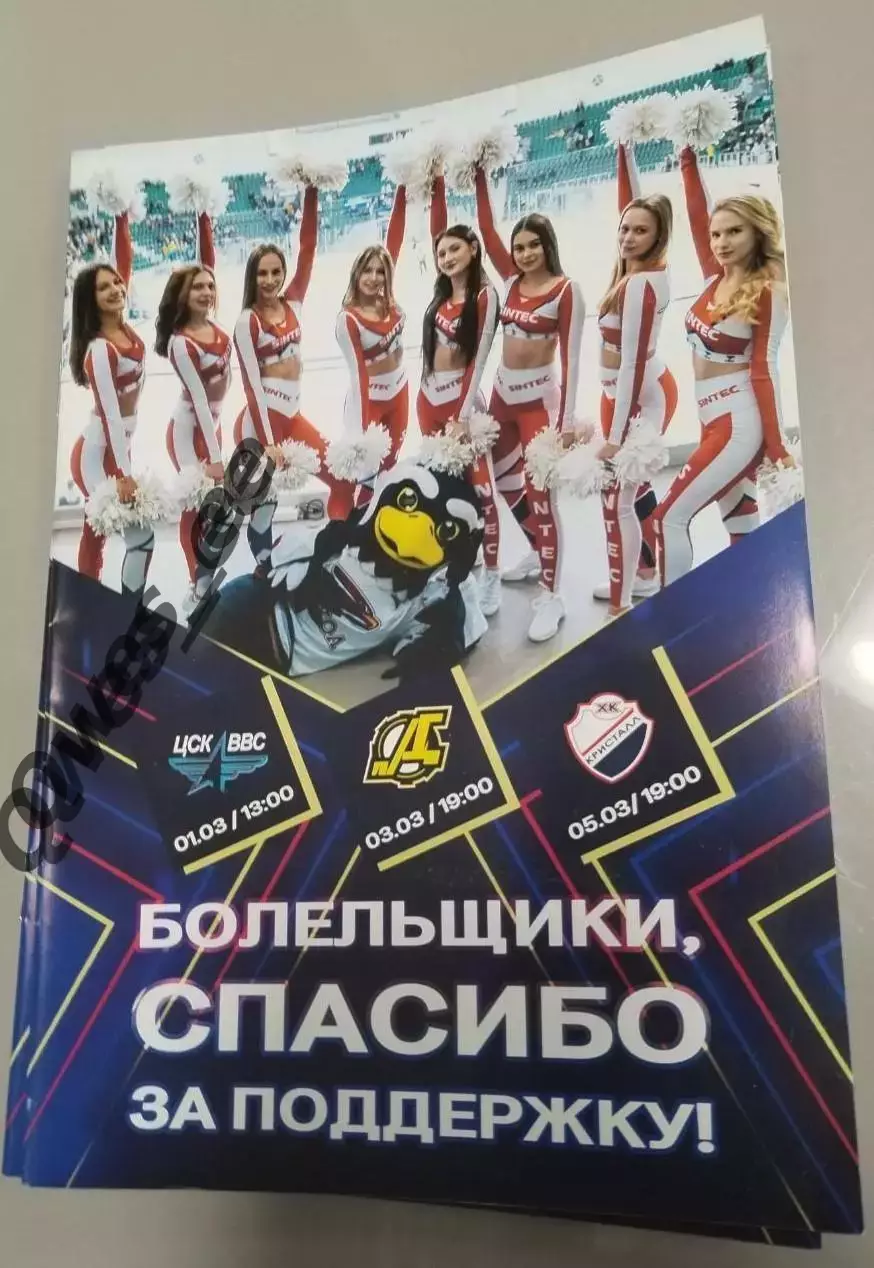 Хоккей Сокол Красноярск ЦСК ВВС Самара Дизель Пенза Кристалл Саратов март 2025
