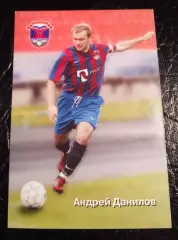 Металлург Красноярск Андрей Данилов 2008