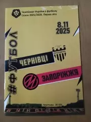 Буковина Чернівці - Металург Запоріжжя. 08.11.2025