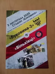 Буковина-2 Чернівці - Вільхівці. 03.11.2025