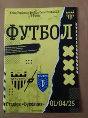 Буковина Чернівці - Вікторія Суми. 01.04.2025 Кубок