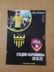 Буковина Чернівці - Нива Бузова 28.10.2023