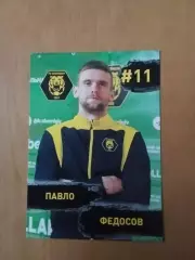 Павло Федосов (ФК Чернігів)