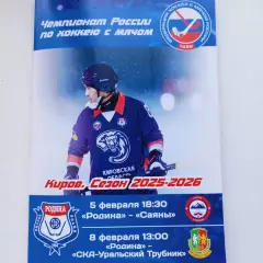 ЧР хоккей с мячом 2025/2026 Родина -Саяны, СКА-Ур. Трубник