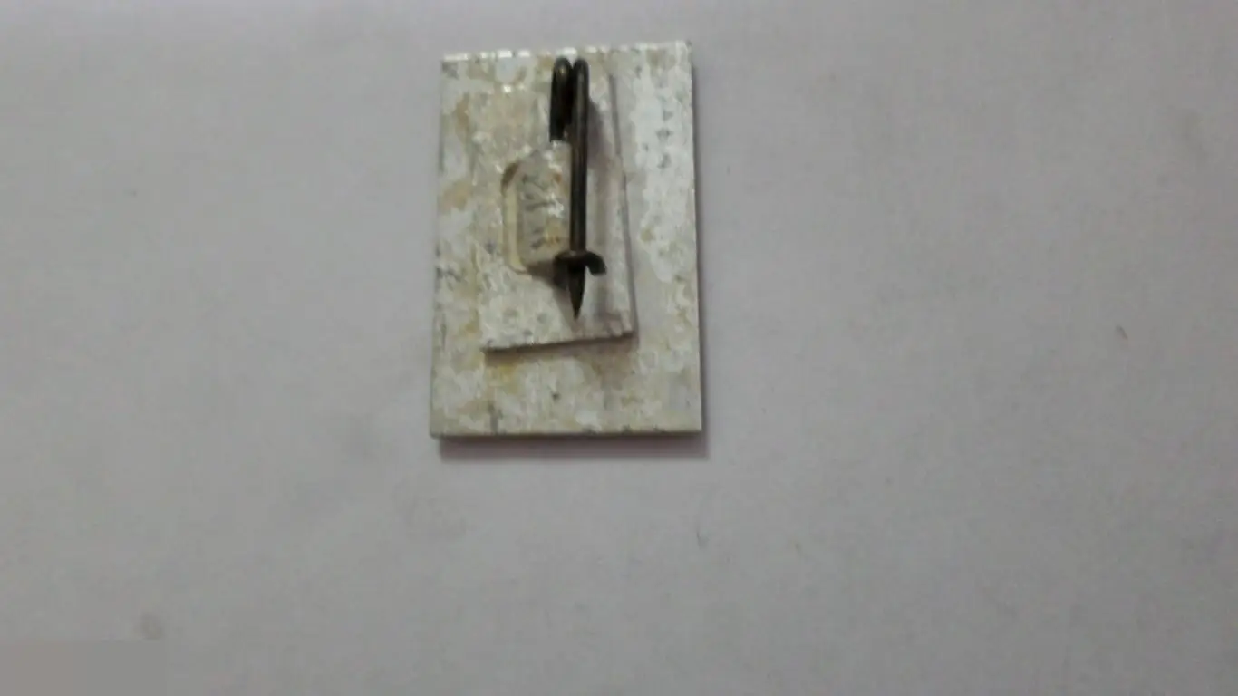 №9 МЕДВЕДЬ И ДЕВОЧКА 1