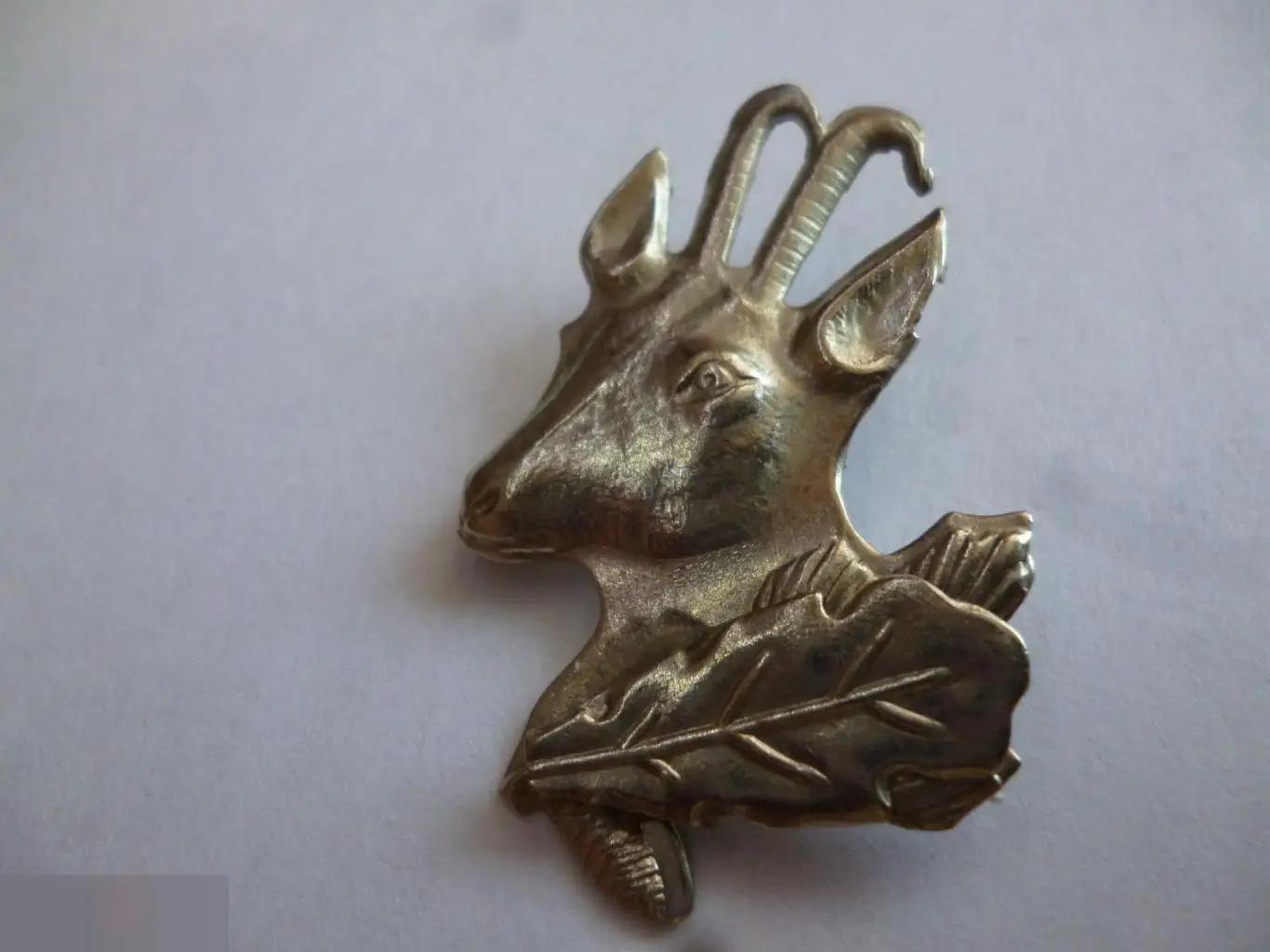 №5 КОЗА ЗНАК ОХОТНИКА. ОХРАНА ПРИРОДЫ