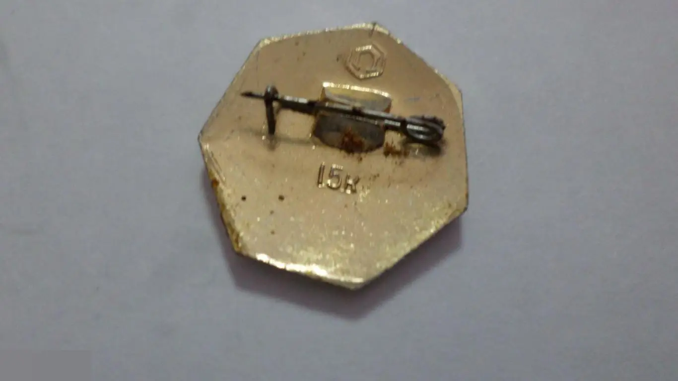 №24 ЗНАЧОК СРЕДНЯЯ ШКОЛА 9-ЫЙ КЛАСС 1