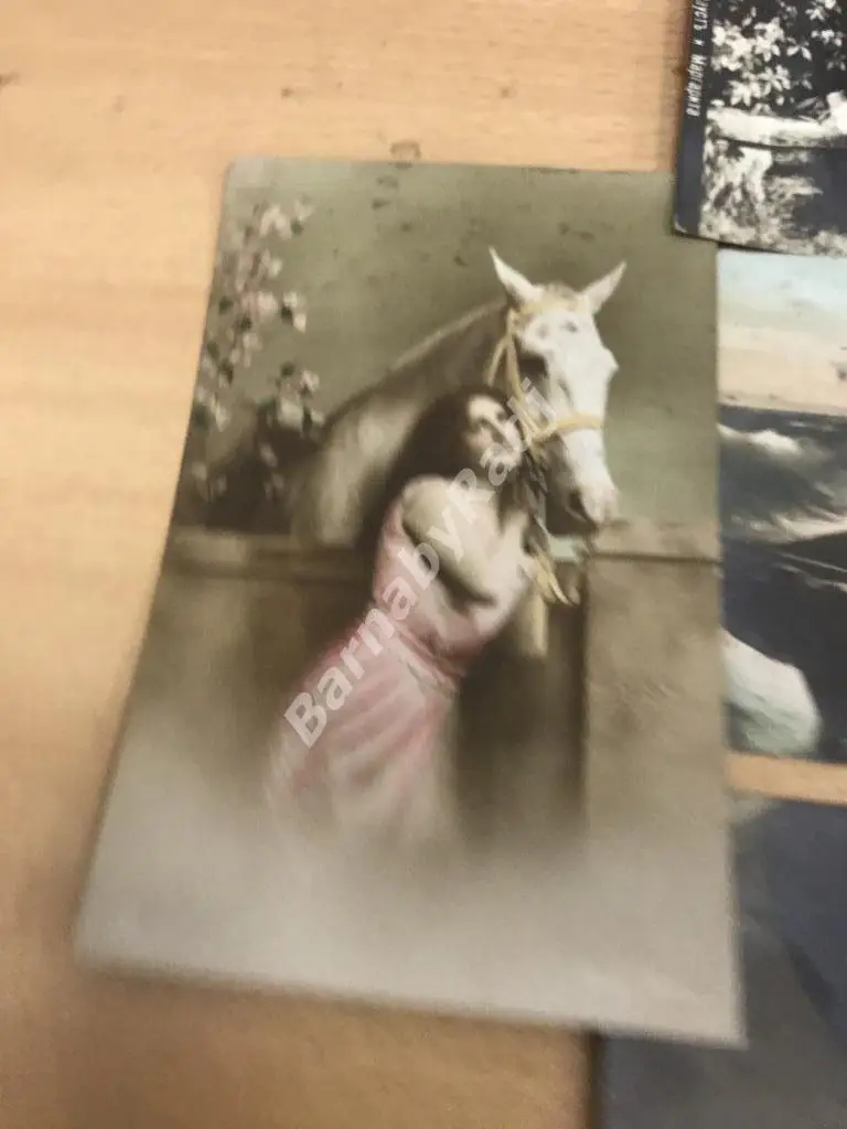 Лот открыток до 1917 13 шт. Шевченко Вера Анна Семеновна Семиполки Киев Москва 5