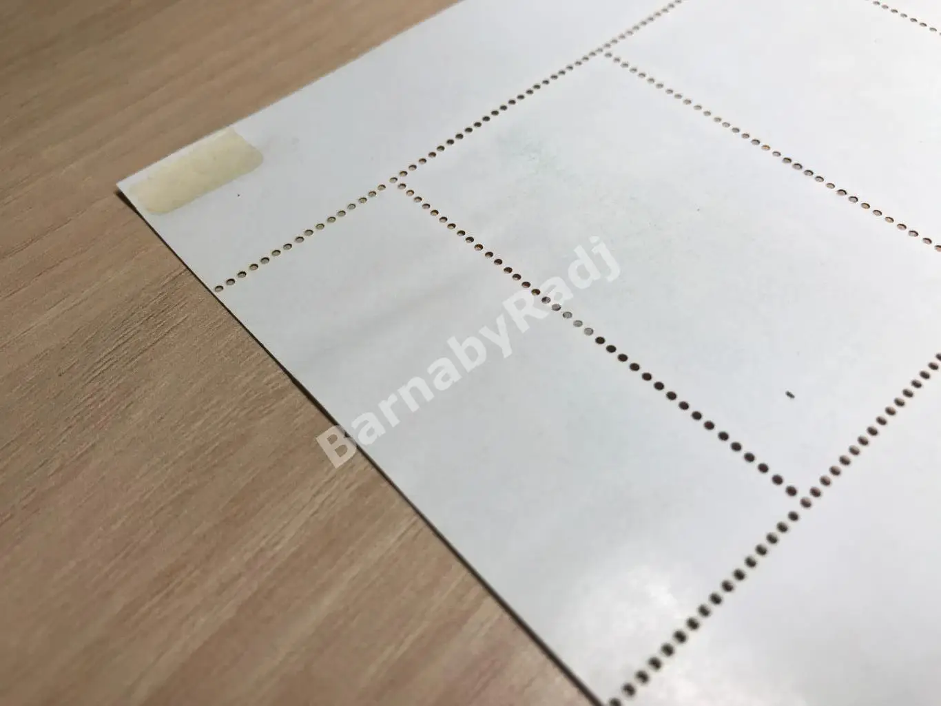 1983 КНДР Северная Корея 500 лет со дня рождения Рафаэля Живопись 3